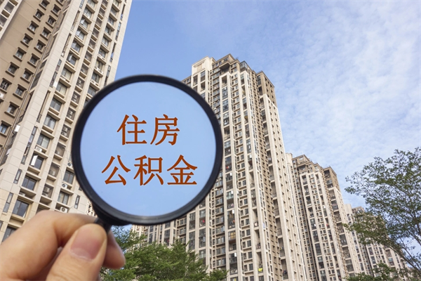 丰城上海公积金代办公司（上海公积金代办公司有哪些）